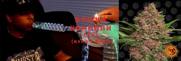 ПСИЛОЦИБИНОВЫЕ ГРИБЫ Богданович