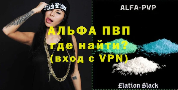 ПСИЛОЦИБИНОВЫЕ ГРИБЫ Богданович