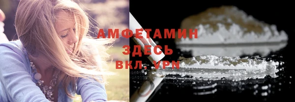 ПСИЛОЦИБИНОВЫЕ ГРИБЫ Богданович