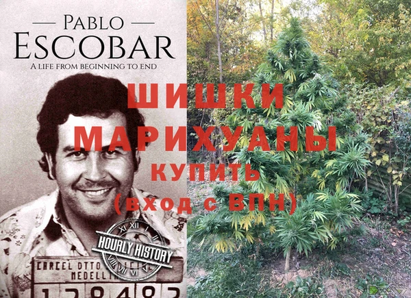 спиды Богородск