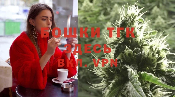 спиды Богородск