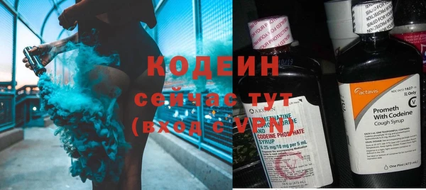 ПСИЛОЦИБИНОВЫЕ ГРИБЫ Богданович