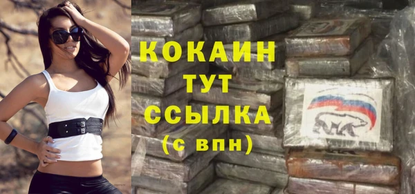 ПСИЛОЦИБИНОВЫЕ ГРИБЫ Богданович