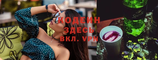 ПСИЛОЦИБИНОВЫЕ ГРИБЫ Богданович