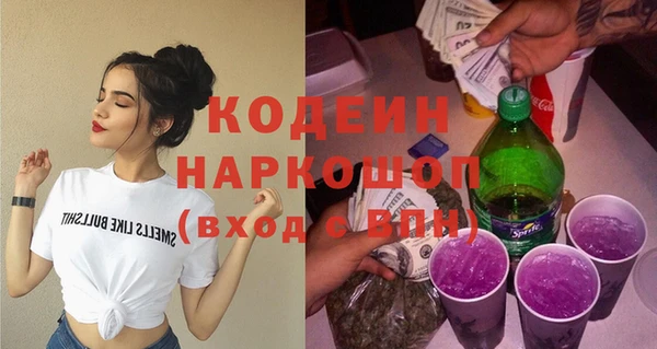 ПСИЛОЦИБИНОВЫЕ ГРИБЫ Богданович