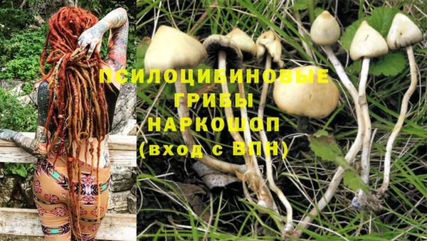 спиды Богородск